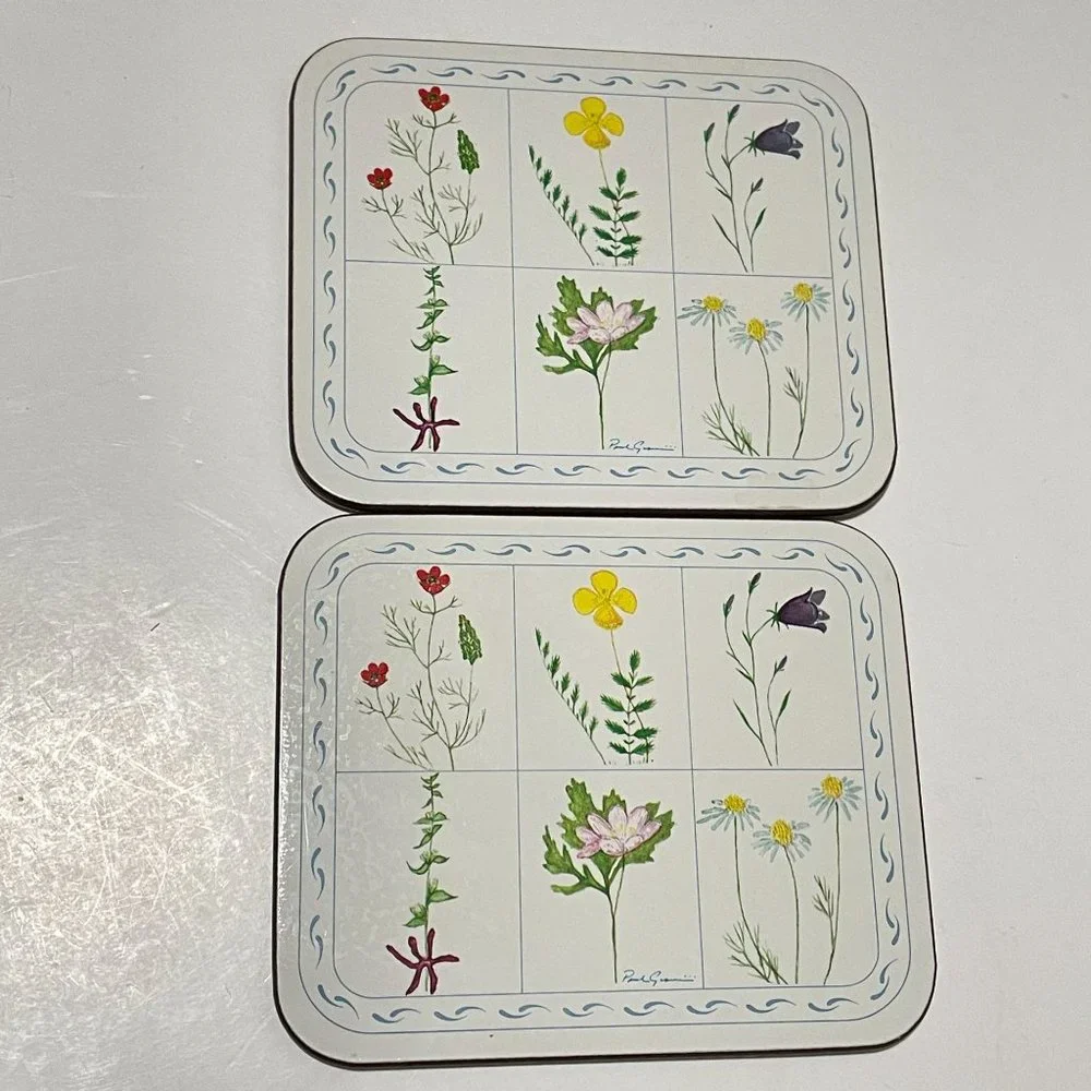Vintage Jason Drink Coasters Flower Box Cork Backed Rectangle Set 6‎ New Zealand